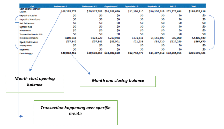 Investment Management Reporting Software