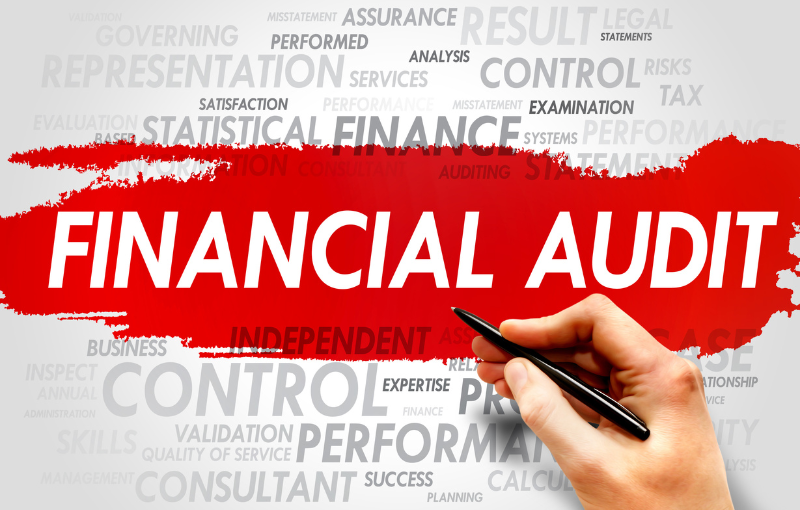 Financial Audit