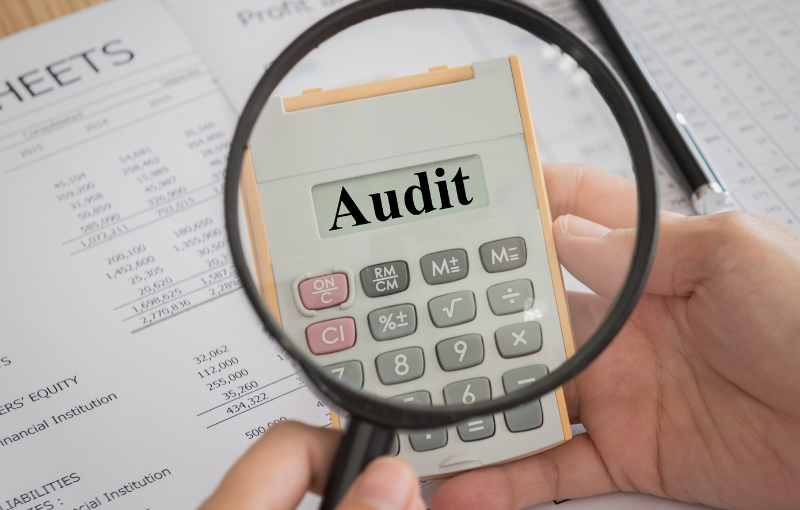 Financial Audit